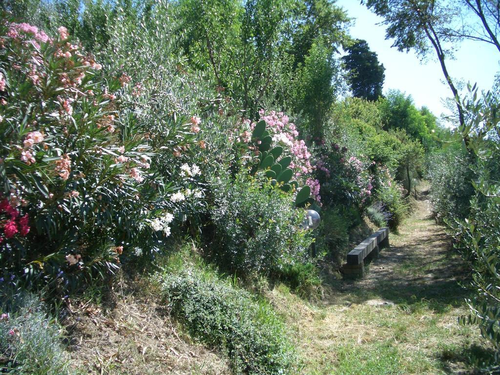 Hostal Gli Oleandri Castelfiorentino Exterior foto